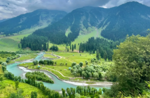 Kashmir